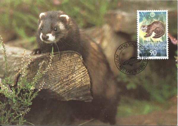 FL 0967 / 0970 MC ● - 1989